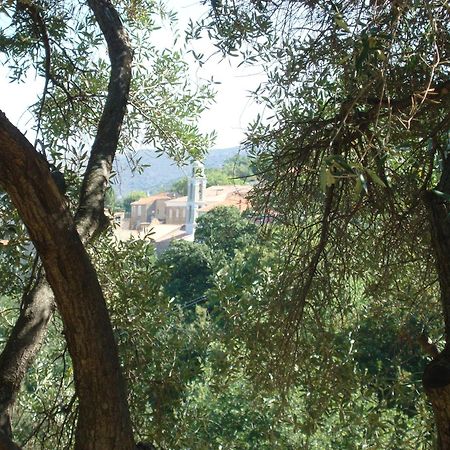 הוילה Costa Di Sognu מראה חיצוני תמונה