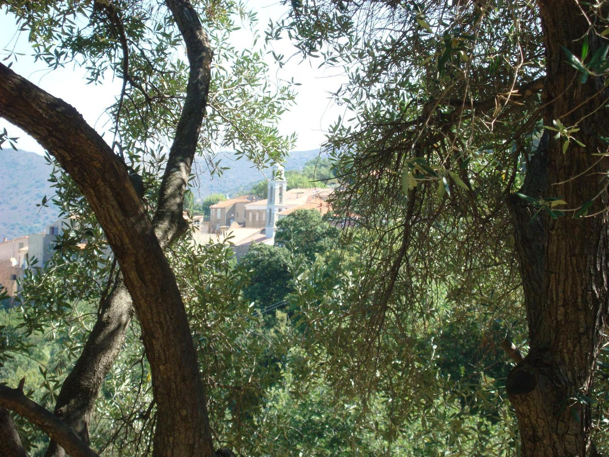 הוילה Costa Di Sognu מראה חיצוני תמונה