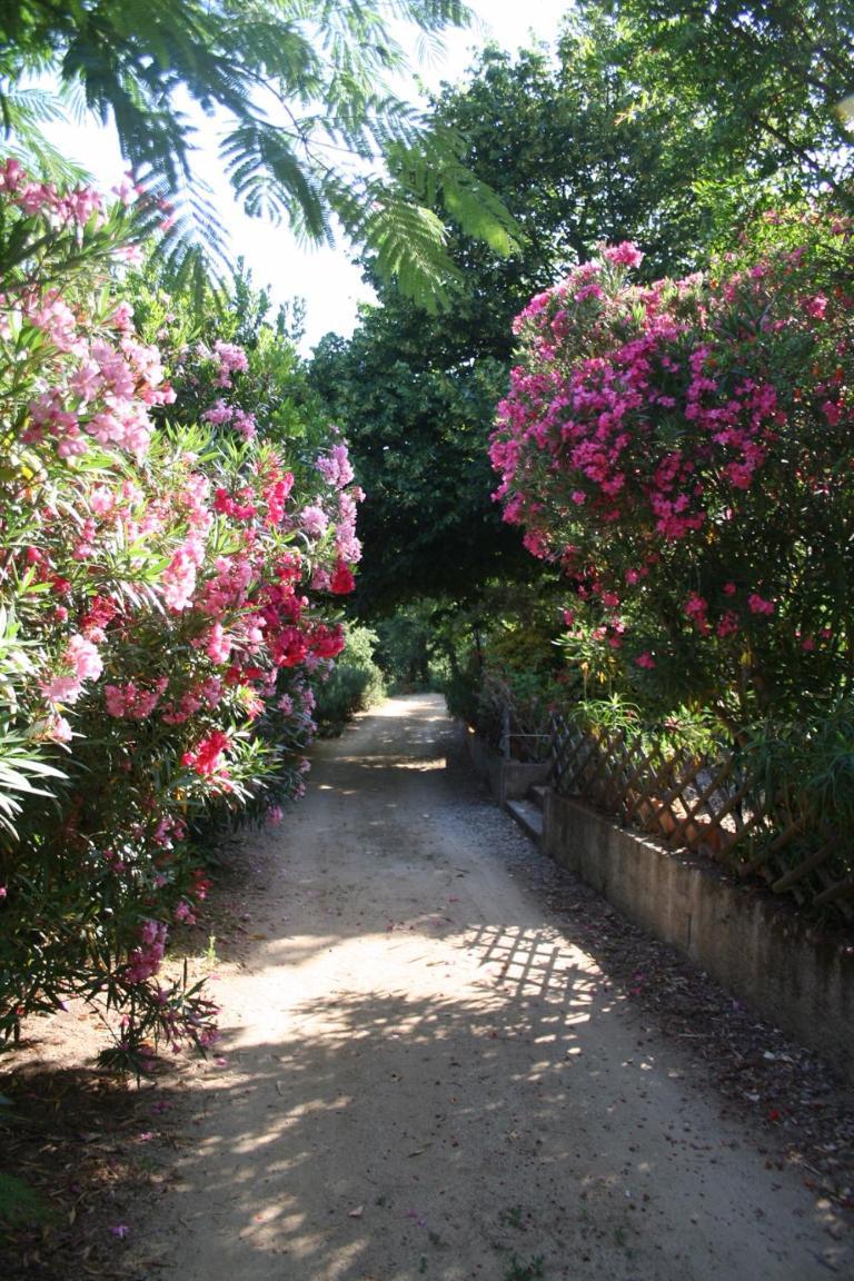 הוילה Costa Di Sognu מראה חיצוני תמונה