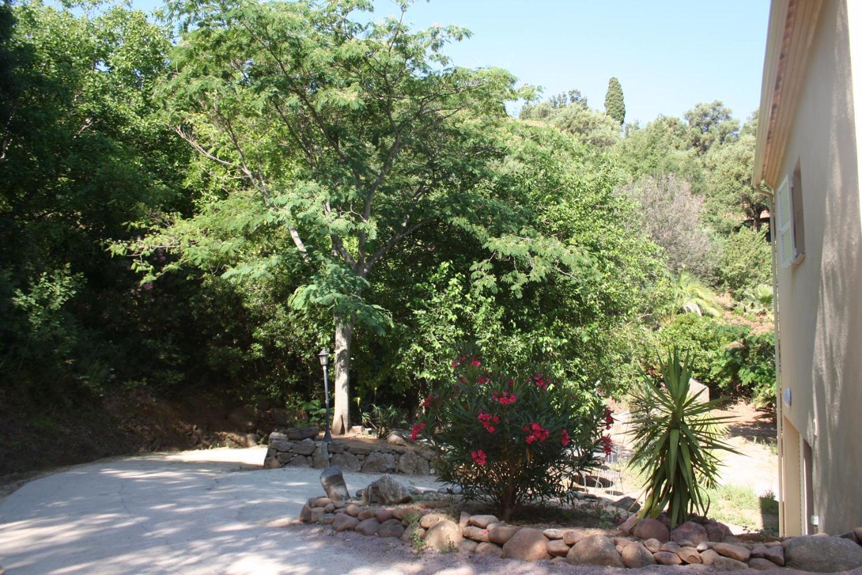 הוילה Costa Di Sognu מראה חיצוני תמונה
