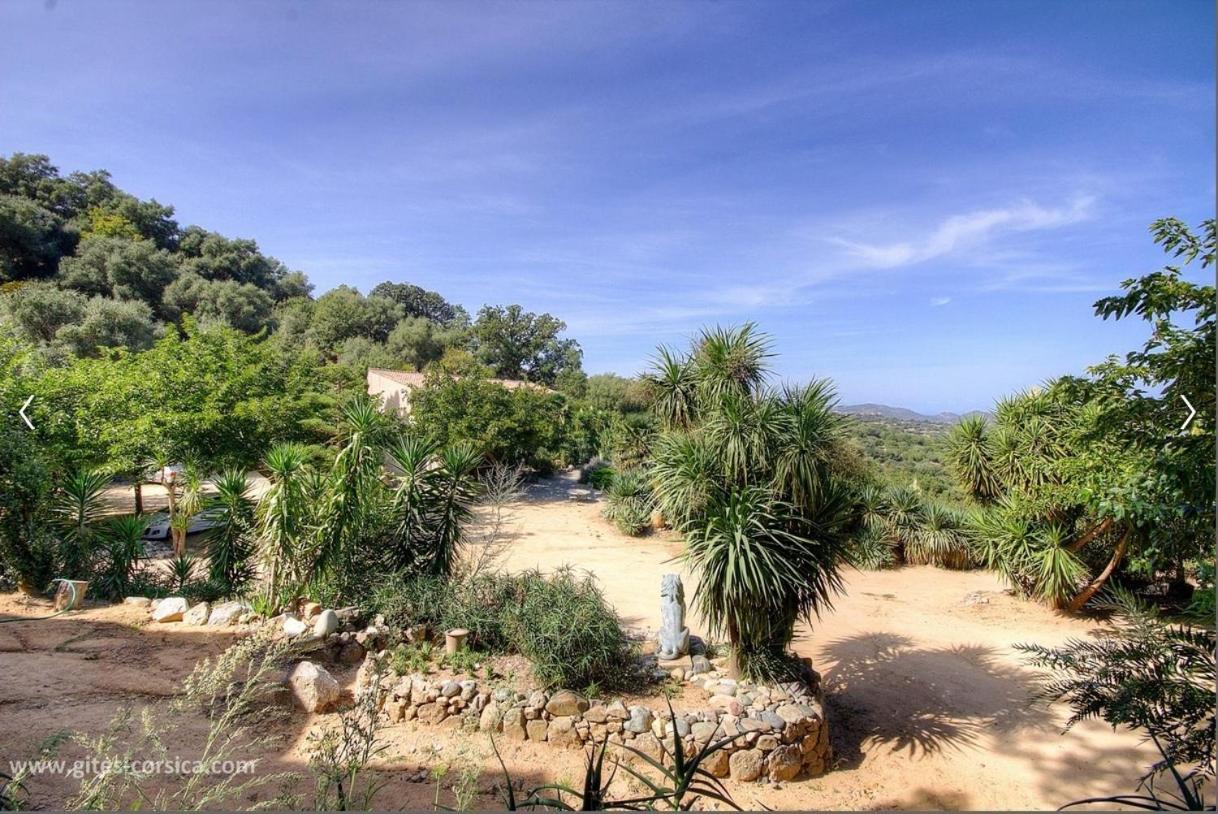 הוילה Costa Di Sognu מראה חיצוני תמונה
