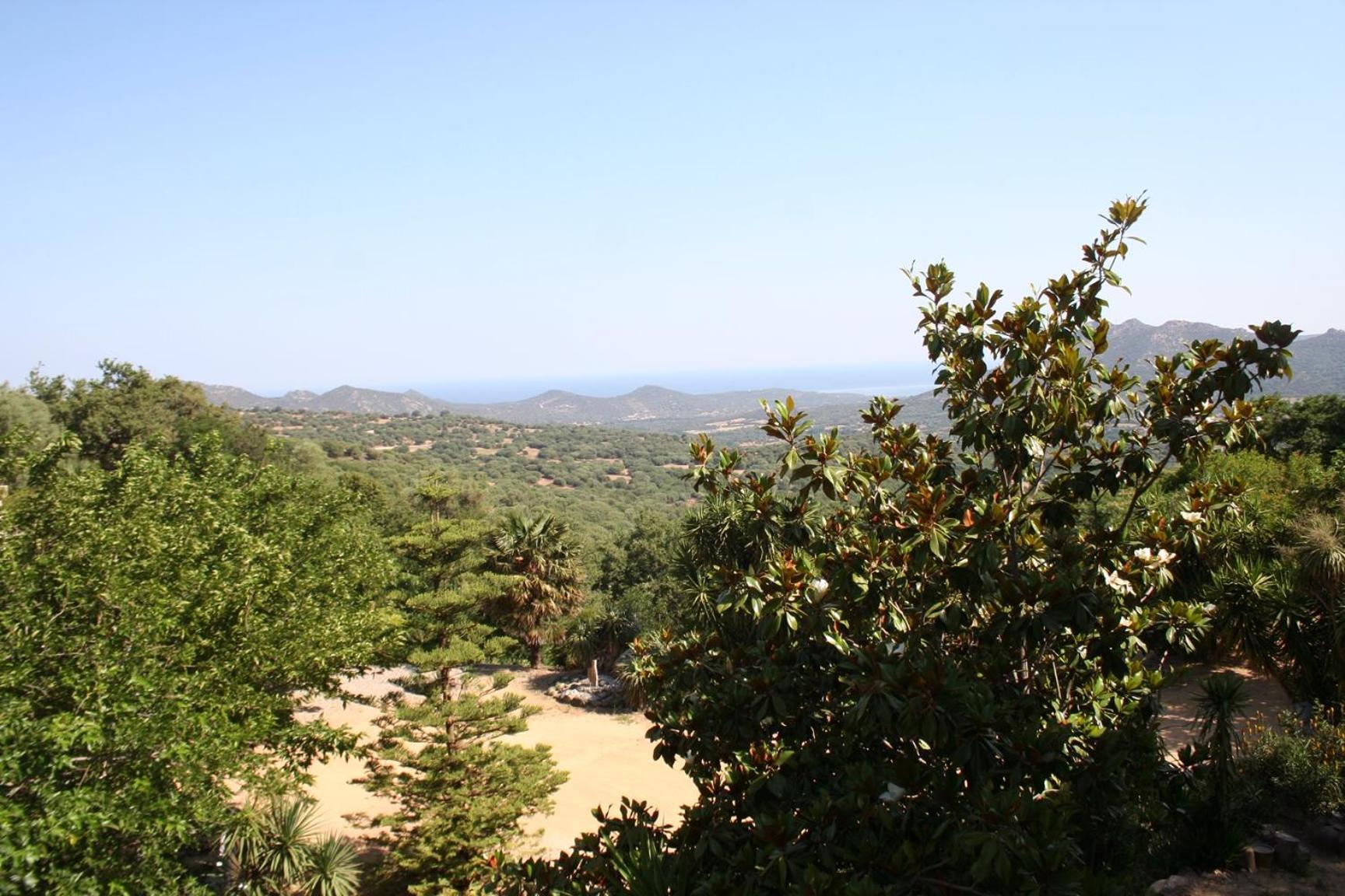 הוילה Costa Di Sognu מראה חיצוני תמונה